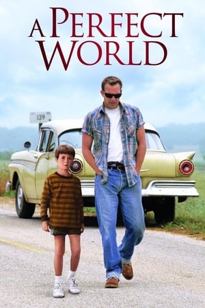 A Perfect World 1993 Hindi Dual Audio 400MB