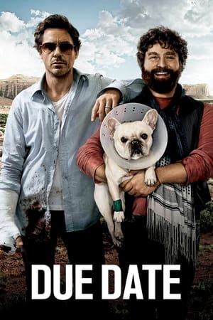 Due Date (2010) Hindi Dual Audio 300MB HD Poster Download - filmyfly