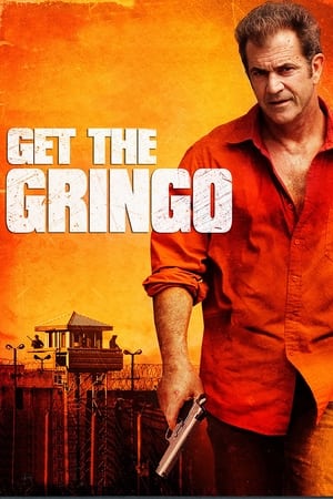 Get the Gringo (2012) Hindi Dual Audio 300MB HD Poster Download - filmyfly