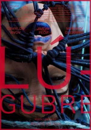 Lúgubre (2024) Hindi (MULTI AUDIO) – – HD Poster Download - filmyfly
