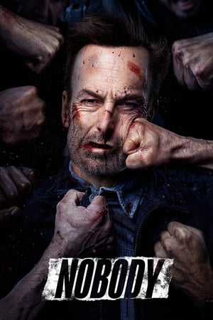 Nobody (2021) Hindi (Cleaned) Dual Audio [880MB] HD Poster Download - filmyfly