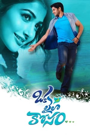 Oka Laila Kosam 2014 (Hindi – Telugu) Dual Audio [1.2GB] HD Poster Download - filmyfly