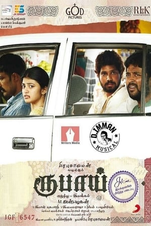 Rubaai (2017) Hindi Dual Audio [1.5GB] HD Poster Download - filmyfly