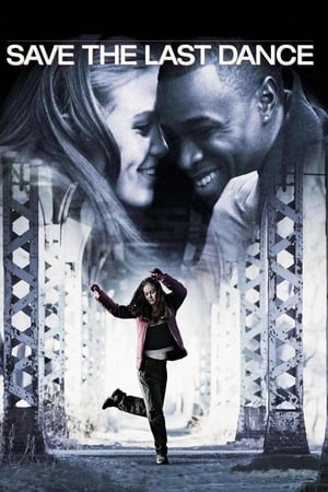 Save The Last Dance (2001) Hindi Dual Audio 360MB HD Poster Download - filmyfly