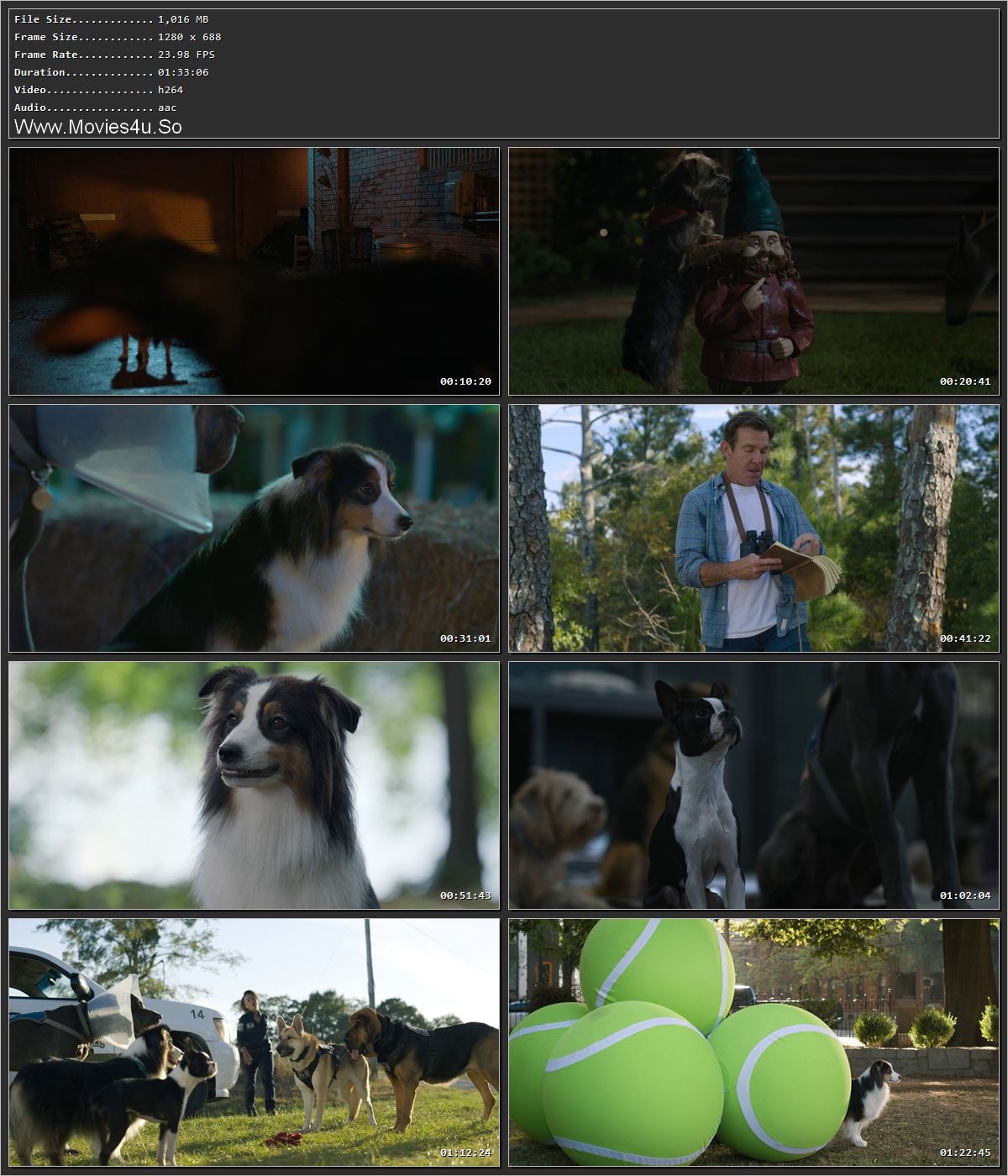 Movie Screenshot