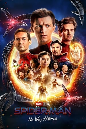 Spider-Man: No Way Home (2021) Hindi (ORG) Dual Audio – HD Poster Download - filmyfly