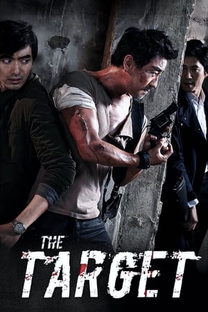 The Target (2014) Hindi Dual Audio 300MB HD Poster Download - filmyfly